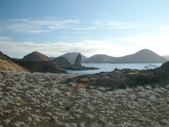 07-To the summit of Isla Bartolomé